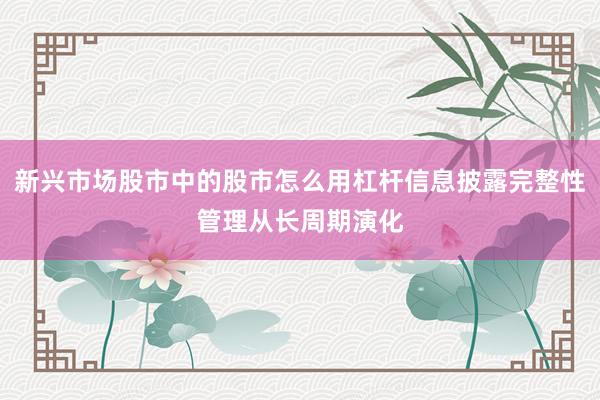 新兴市场股市中的股市怎么用杠杆信息披露完整性管理从长周期演化