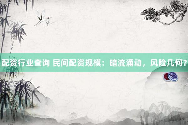 配资行业查询 民间配资规模：暗流涌动，风险几何？