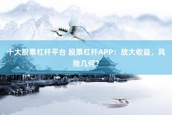 十大股票杠杆平台 股票杠杆APP：放大收益，风险几何？